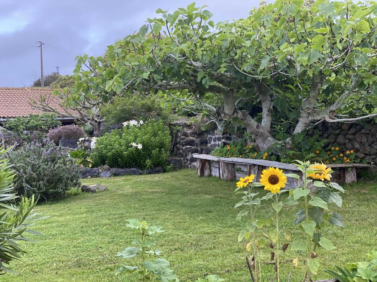 Quinta Perpetua, Casa Pico Villa Alto do Sul Eksteriør bilde